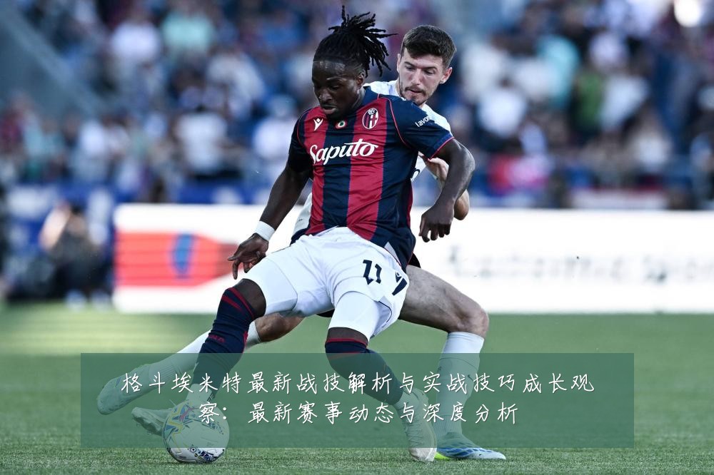 格斗埃米特最新战技解析与实战技巧成长观察：最新赛事动态与深度分析